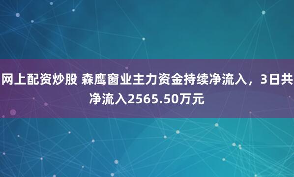 网上配资炒股 森鹰窗业主力资金持续净流入，3日共净流入2565.50万元